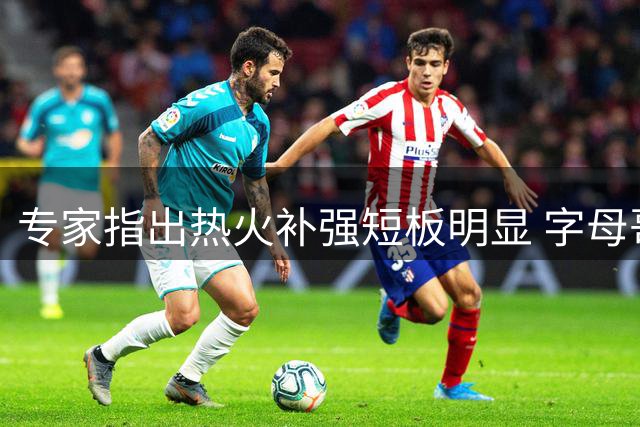 专家指出热火补强短板明显 字母哥加盟难掩替补实力不足