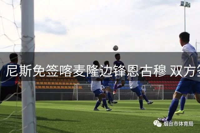 尼斯免签喀麦隆边锋恩古穆 双方签订两年合约