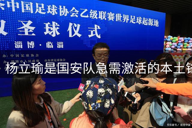 杨立瑜是国安队急需激活的本土锋霸！巅峰期表现不俗，值得期待